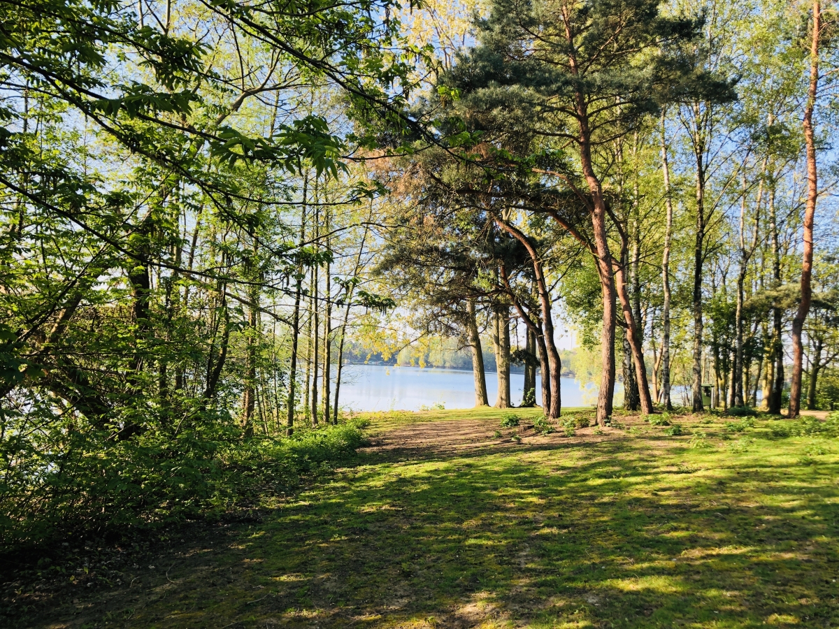 Dr.-Ing. Peter Jürging, Head of Global Platform Services, DB Schenker | Di Gaudio Coaching  