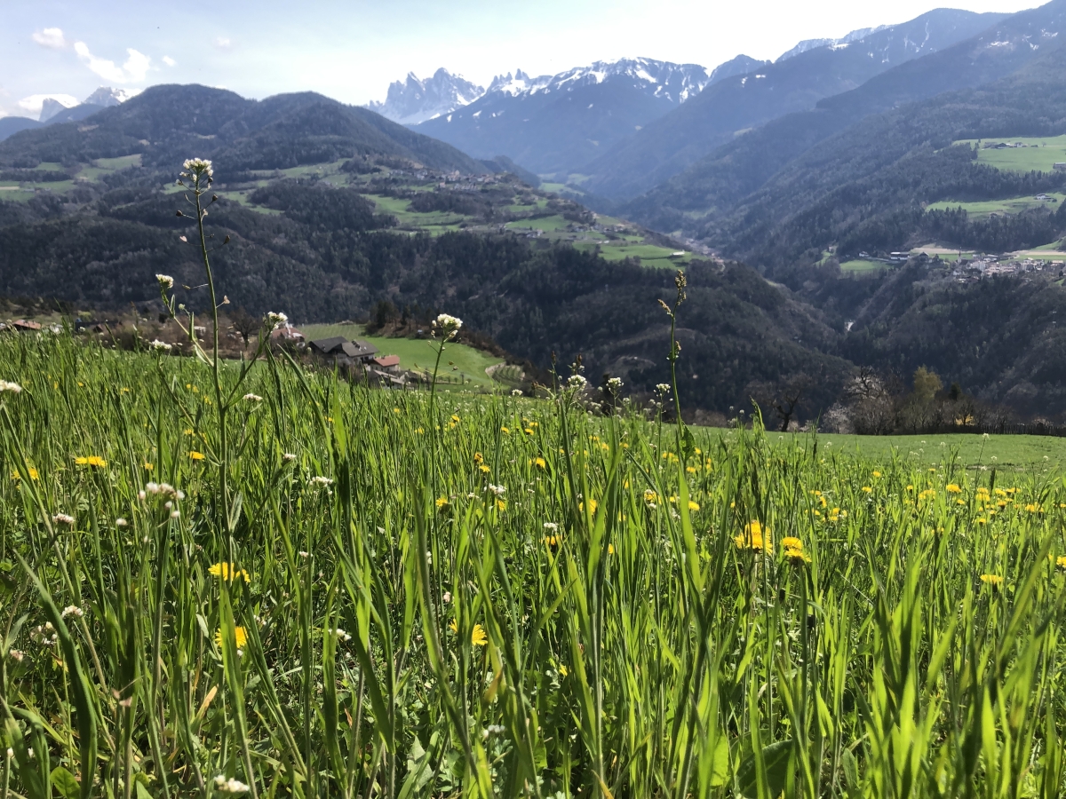 Dr. Laura Hoffmann - (Name abgewandelt) - Projektmanagerin zu Beginn ihrer beruflichen Laufbahn | Di Gaudio Coaching  